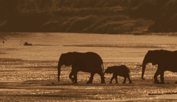 IMG_7979.GIF