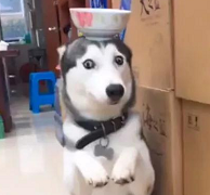 19.png 19.png