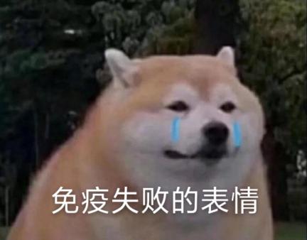 18.jpeg 18.jpeg
