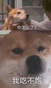 16.jpeg 16.jpeg
