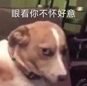22.jpeg 22.jpeg