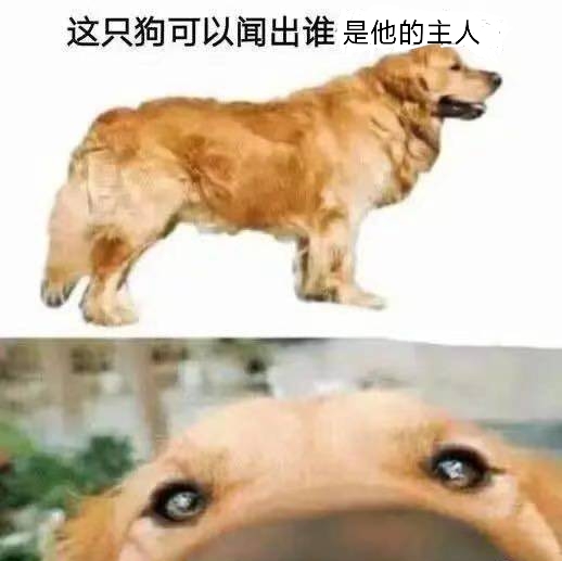 24.jpeg 24.jpeg