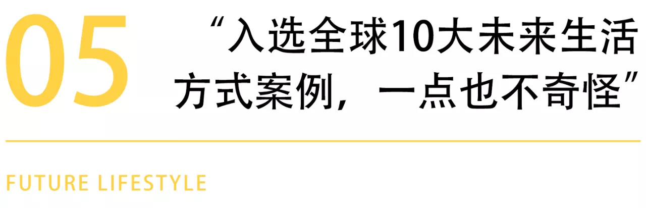IMG_1429.PNG