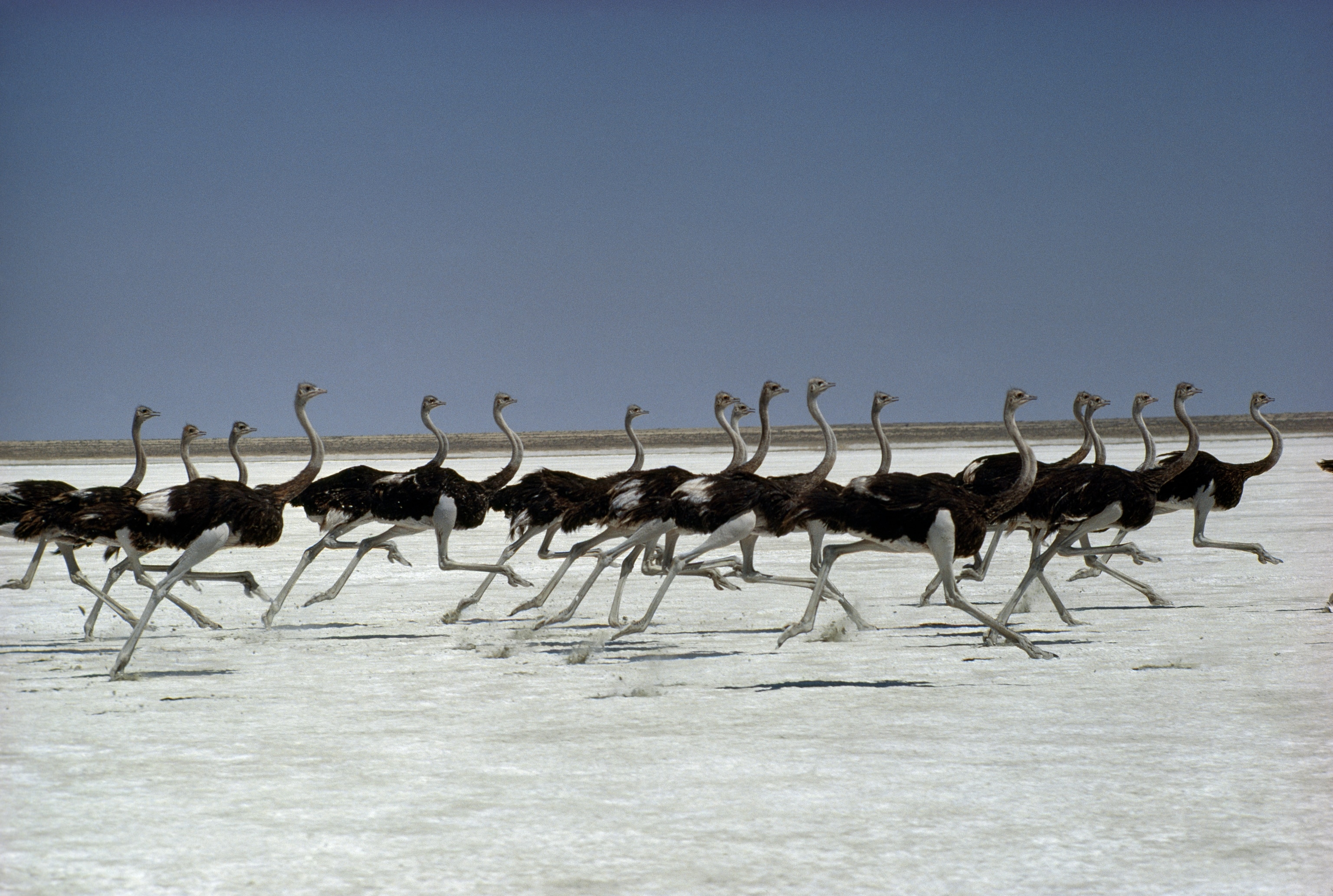 POD-08-07-2021_NationalGeographic_120267.jpg