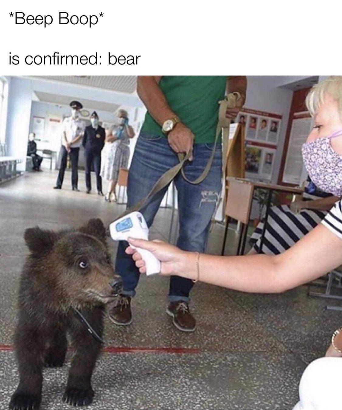 0.jpg