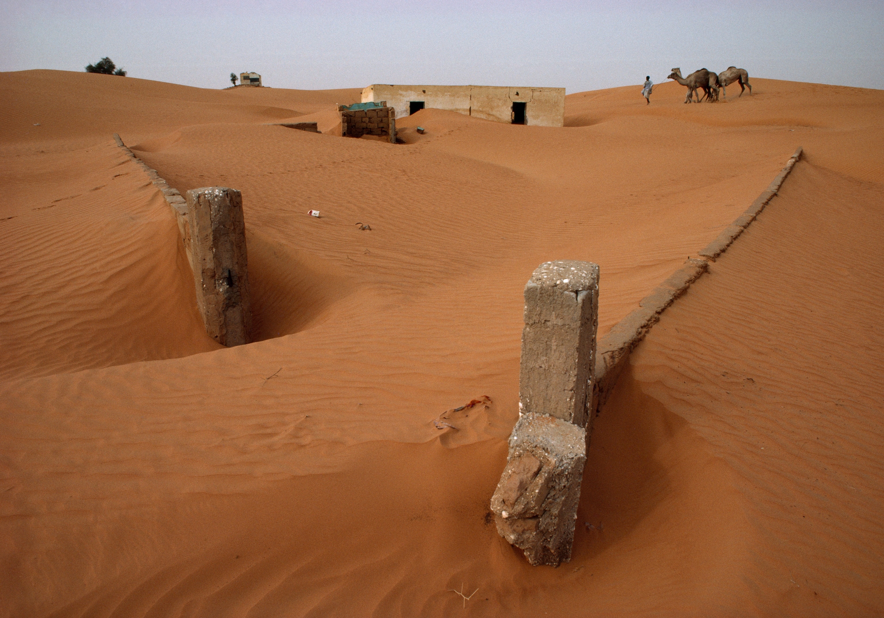POD-09-07-2021_NationalGeographic_529908.jpg