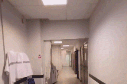 IMG_3588.GIF