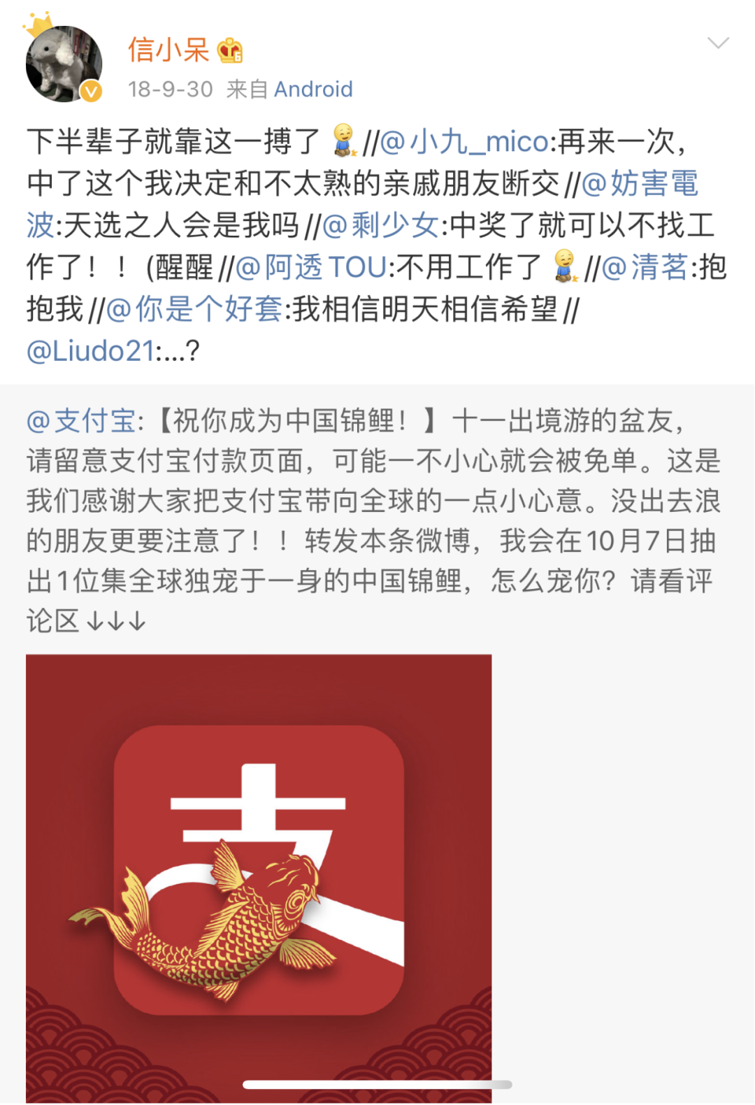 IMG_3909.PNG