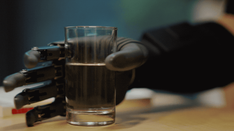 IMG_8202.GIF