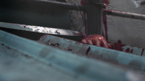 IMG_9485.GIF