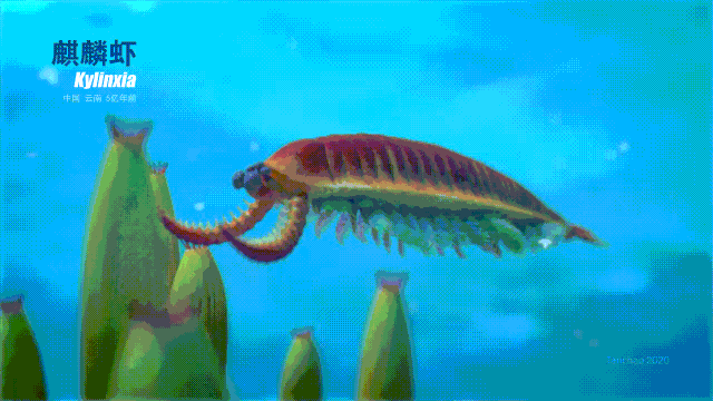 IMG_1048.GIF IMG_1048.GIF