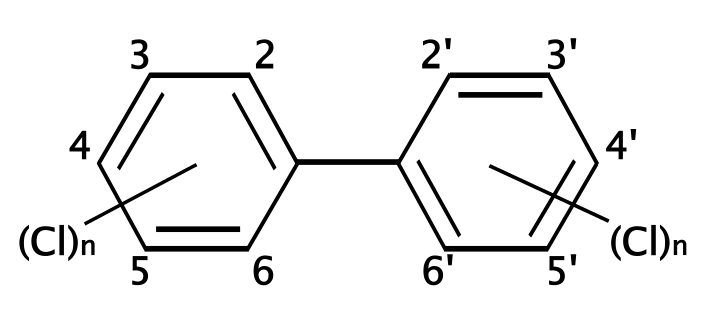 0.png 0.png