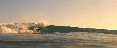 IMG_1356.GIF