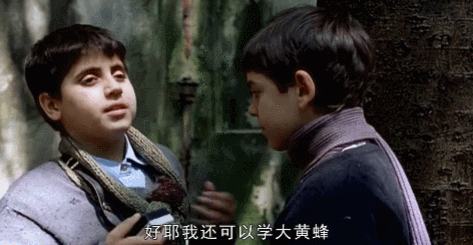 IMG_2449.GIF