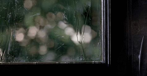 IMG_2451.GIF