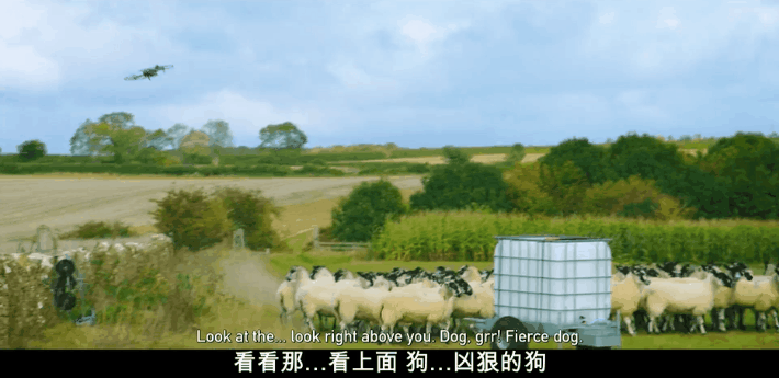 IMG_2516.GIF