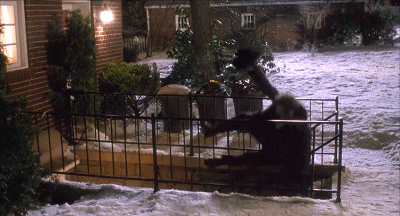 IMG_5882.GIF