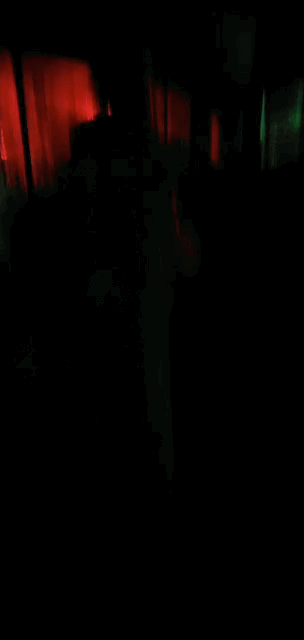 IMG_6096.GIF