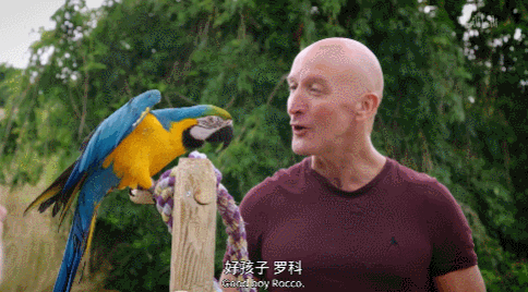 IMG_8481.GIF
