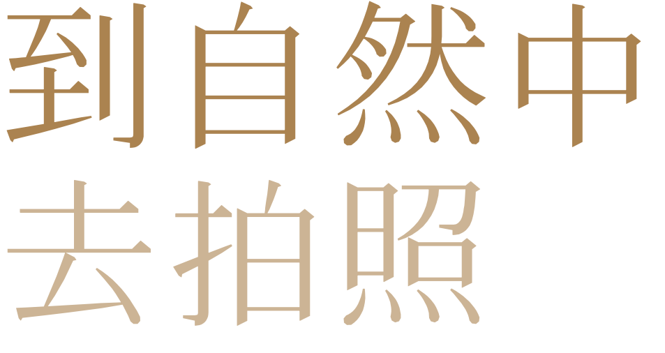 IMG_9026.PNG