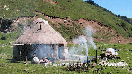 IMG_8670.GIF
