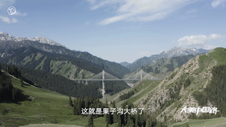 IMG_8674.GIF