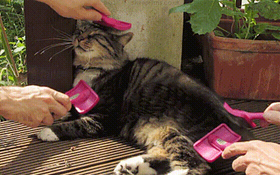 IMG_9870.GIF IMG_9870.GIF