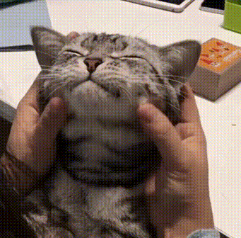 IMG_9872.GIF IMG_9872.GIF