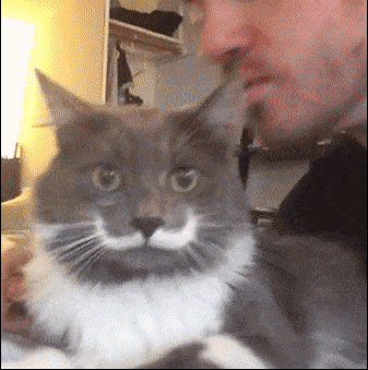 IMG_9873.GIF IMG_9873.GIF