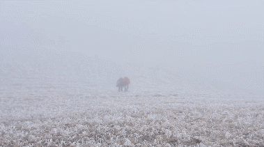 IMG_9399.GIF