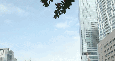 IMG_2023.GIF