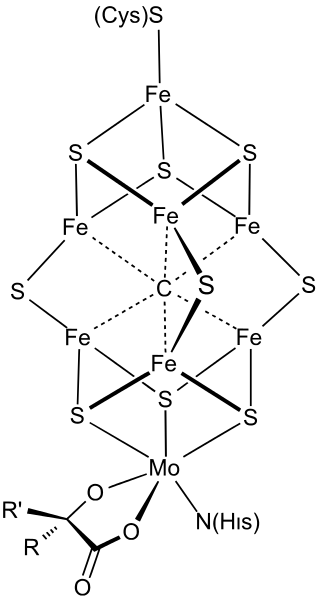 IMG_2446.PNG IMG_2446.PNG