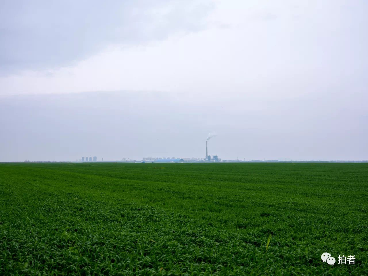 IMG_2174.PNG