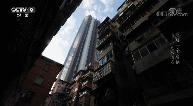 IMG_5618.GIF