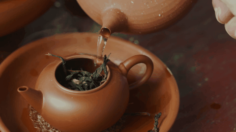 IMG_6523.GIF