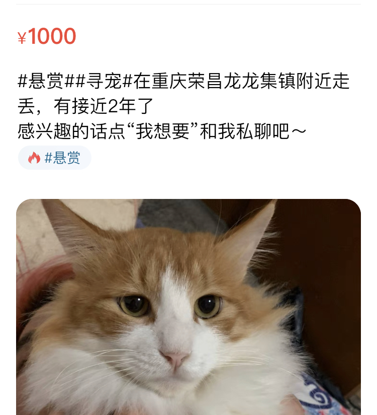 IMG_7679.PNG