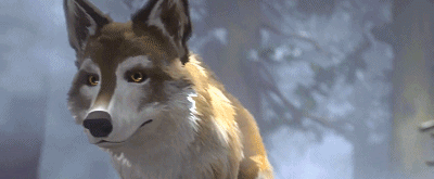 IMG_1414.GIF