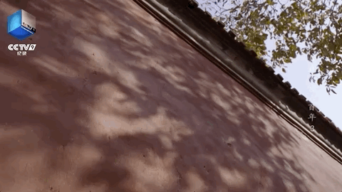 IMG_2998.GIF