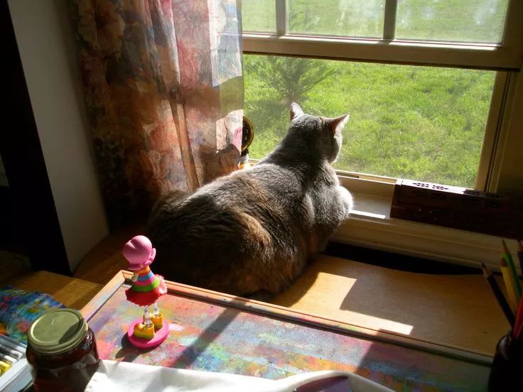 IMG_4580.JPG IMG_4580.JPG