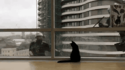 IMG_4581.GIF IMG_4581.GIF