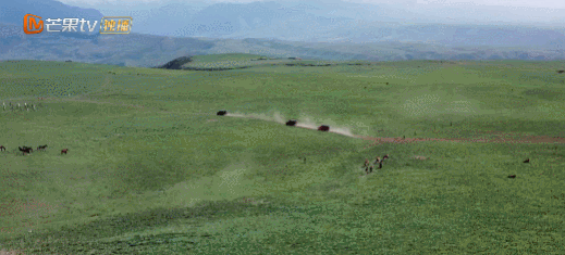 IMG_5843.GIF