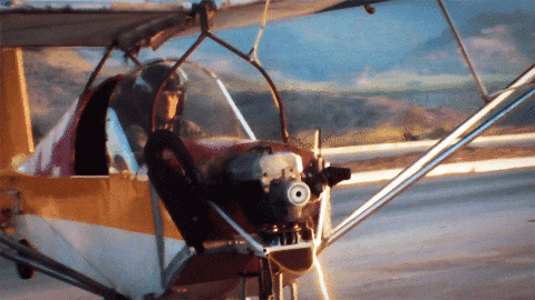 IMG_6498.GIF