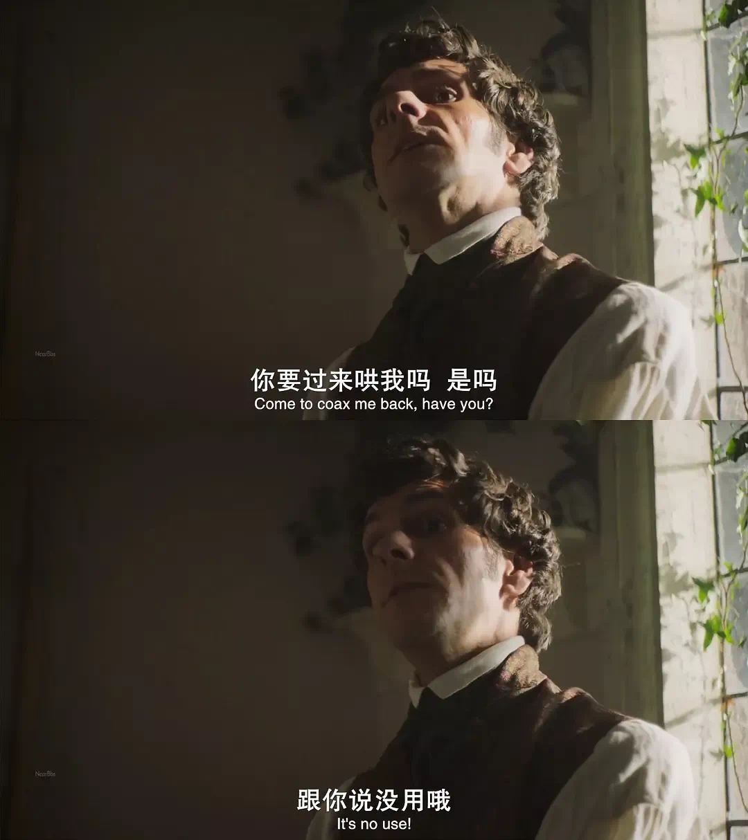 IMG_9262.PNG