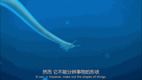 IMG_9554.GIF IMG_9554.GIF