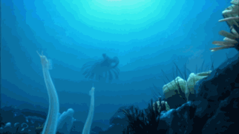 IMG_9556.GIF IMG_9556.GIF