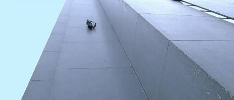 IMG_1345.GIF