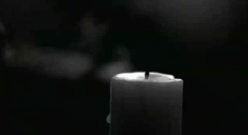 IMG_2317.GIF