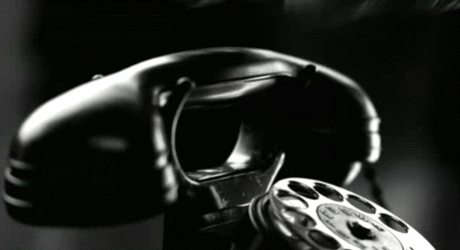 31.gif