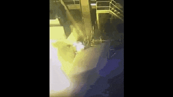IMG_2571.GIF IMG_2571.GIF