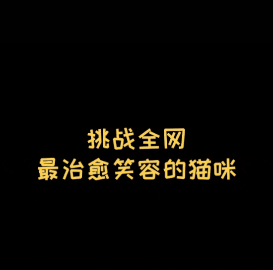 IMG_2530.GIF IMG_2530.GIF